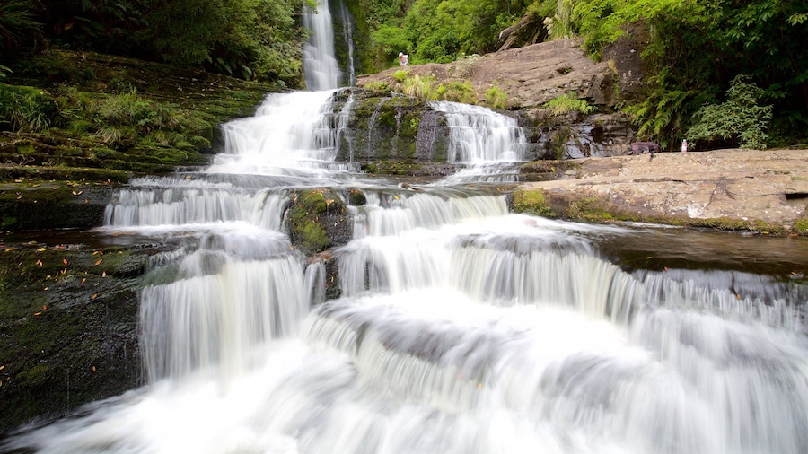 McLean Falls bevat een rivier of beek, bossen en een cascade