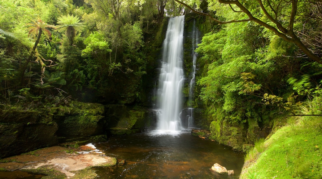 McLean Falls which includes a cascade, forests and a river or creek