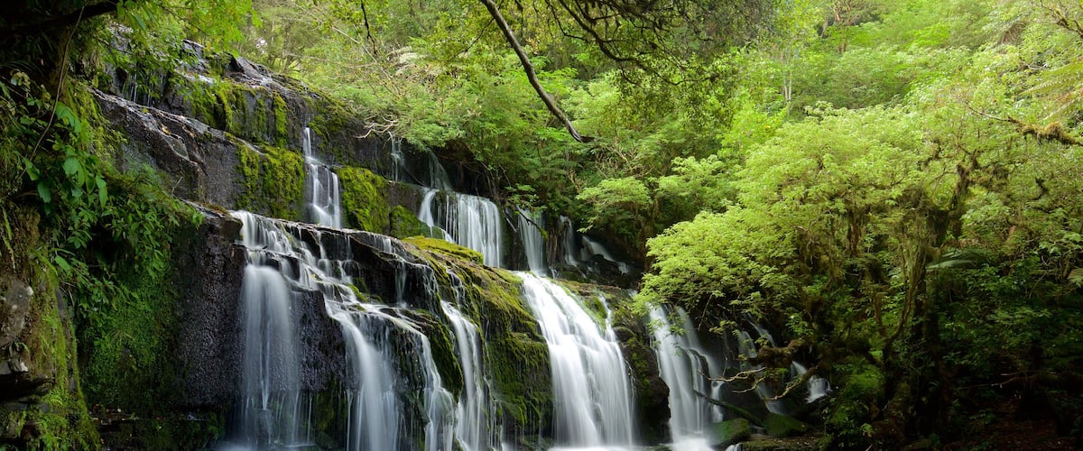Purakaunui Falls which includes a river or creek, forests and a cascade
