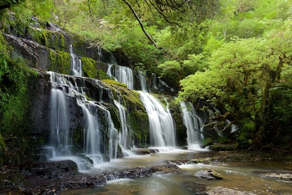 Purakaunui Falls showing a waterfall, forest scenes and a river or creek