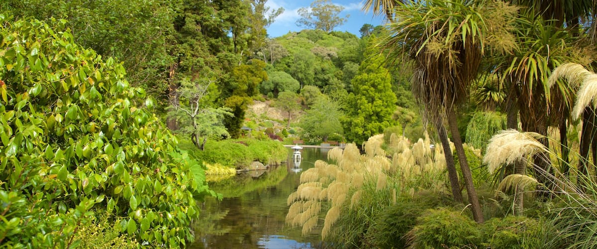 Dunedin Botanic Garden featuring a lake or waterhole and a park
