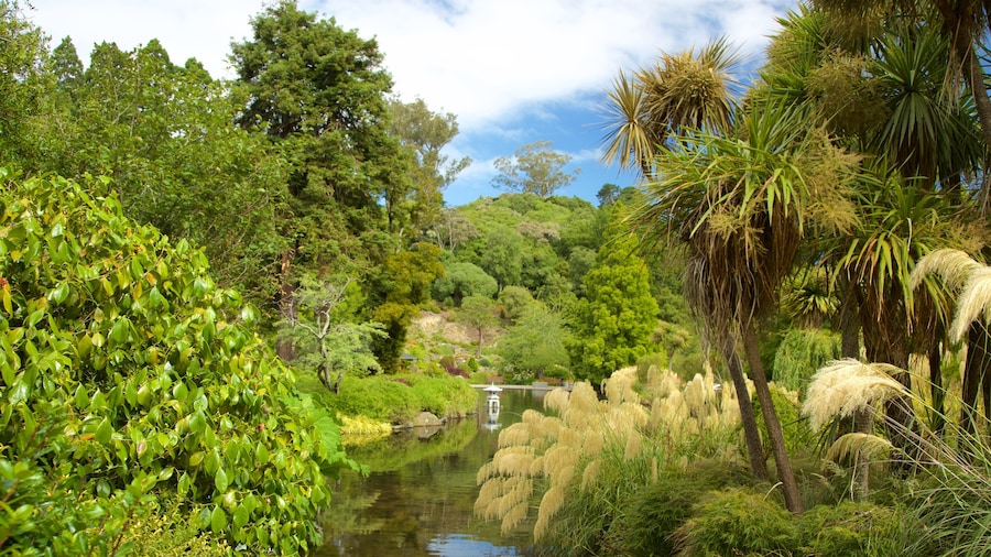 Dunedin Botanic Garden featuring a garden and a lake or waterhole