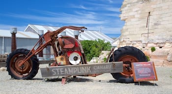 Oamaru showing outdoor art