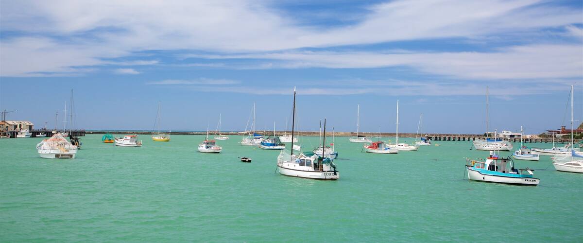 Oamaru which includes a bay or harbour