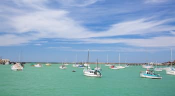 Oamaru which includes a bay or harbor