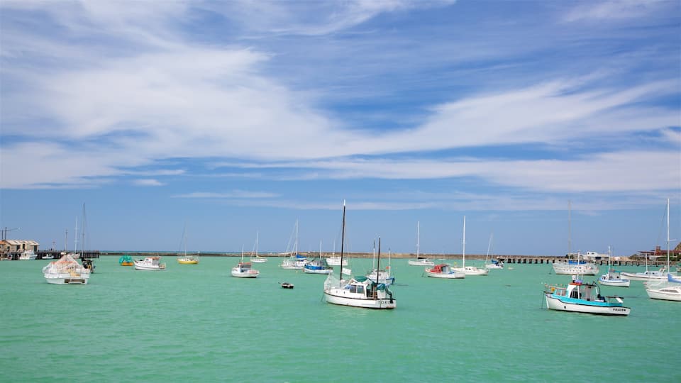 Oamaru mostrando una bahía o un puerto