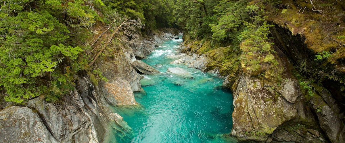 Mount Aspiring National Park showing a gorge or canyon and a river or creek
