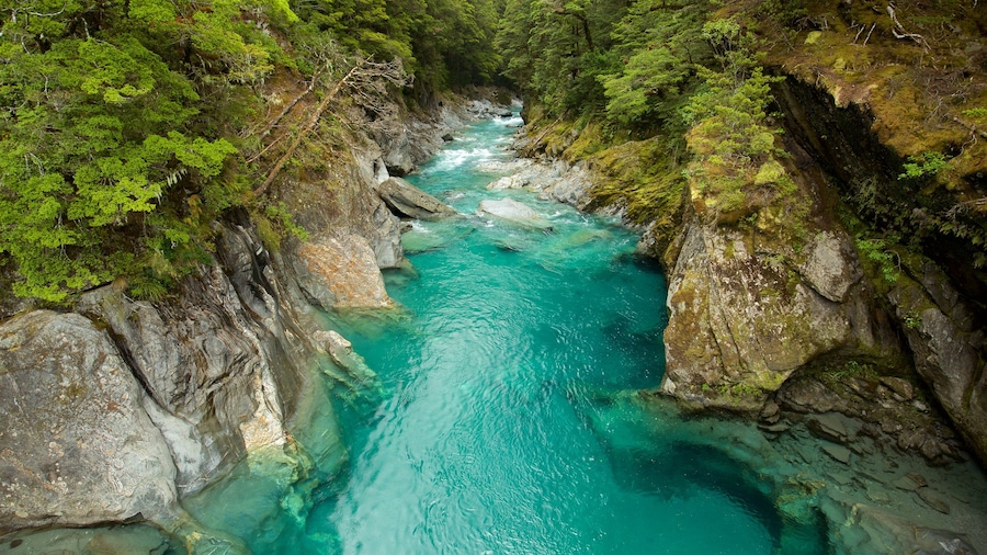 Mount Aspiring National Park showing a gorge or canyon and a river or creek