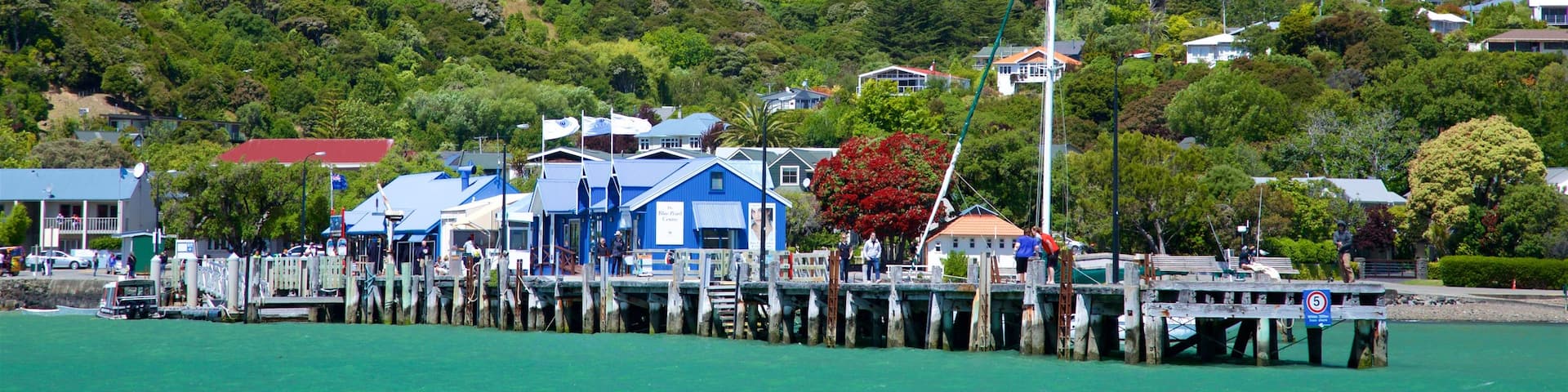 Akaroa Wharf featuring general coastal views and a coastal town