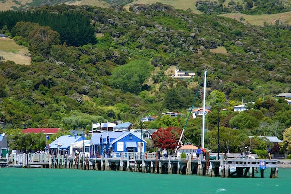 Akaroa Wharf welches beinhaltet KĂŒstenort und allgemeine KĂŒstenansicht