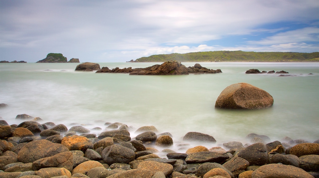 Tauranga Bay Seal Colony showing rugged coastline