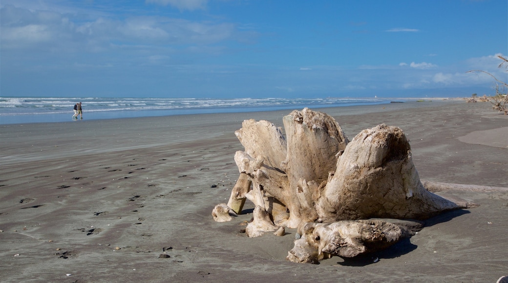 West Coast caracterizando ondas, paisagens litorâneas e uma praia de areia