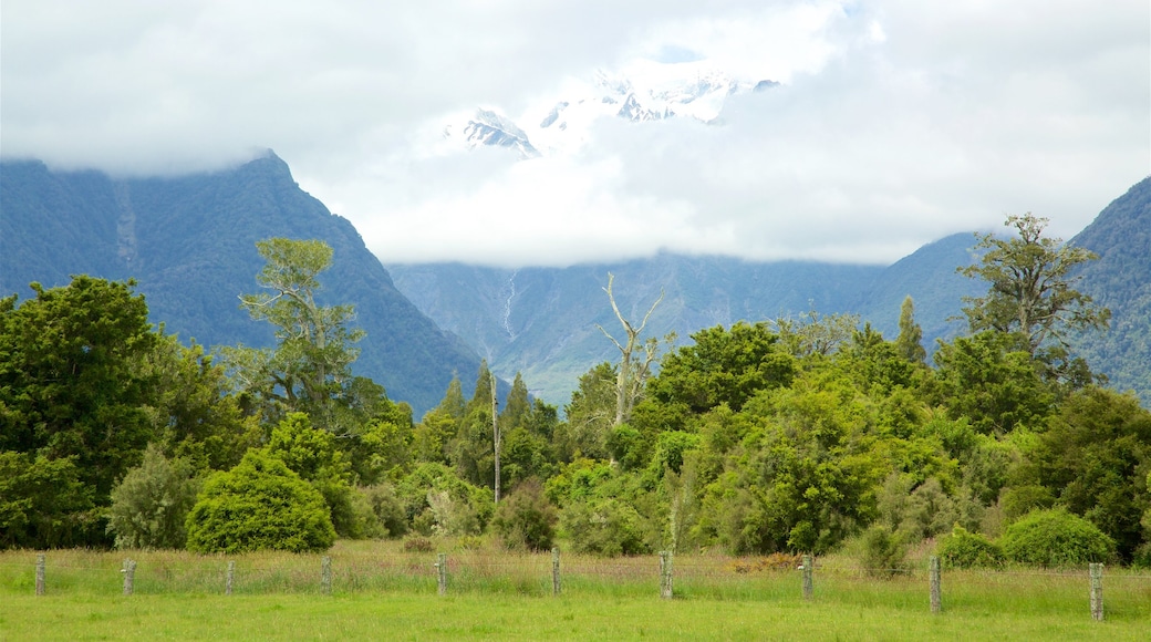 Fox Glacier mit einem Schnee, ruhige Szenerie und Berge
