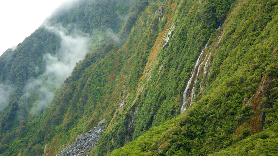 Fox Glacier