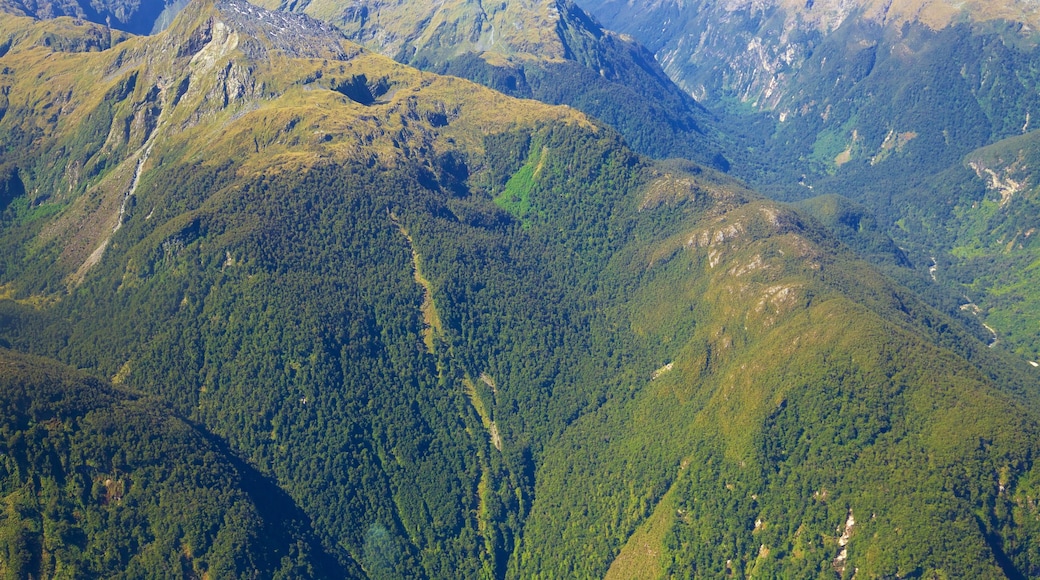 Lake Te Anau som visar berg