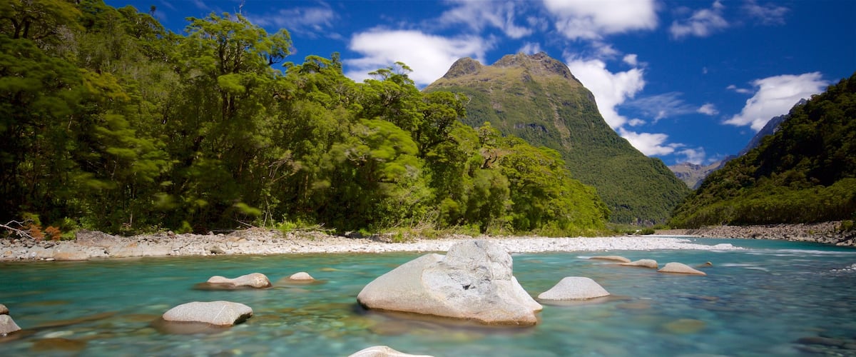 Milford Sound mostrando escenas forestales, una playa de guijarros y montañas