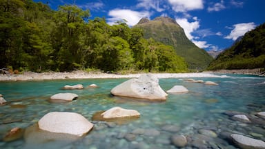 Milford Sound featuring kivinen ranta, vuoret ja metsänäkymät