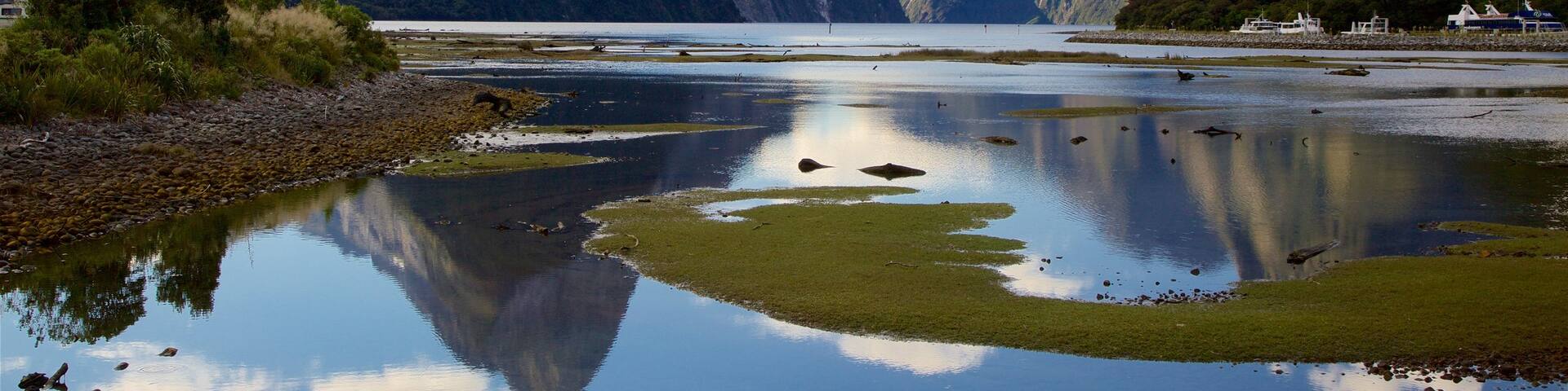 Mitre Peak que incluye una playa de guijarros, montañas y una bahía o puerto