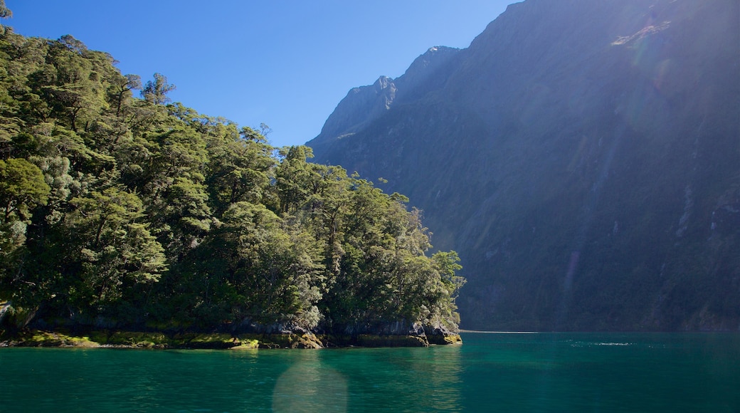 Parque nacional de Fiordland mostrando una bahía o un puerto, montañas y imágenes de bosques