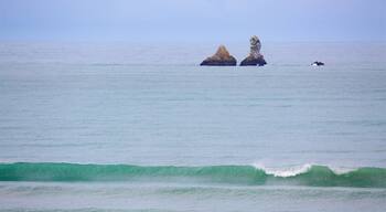 Rapahoe Beach which includes rocky coastline and surf