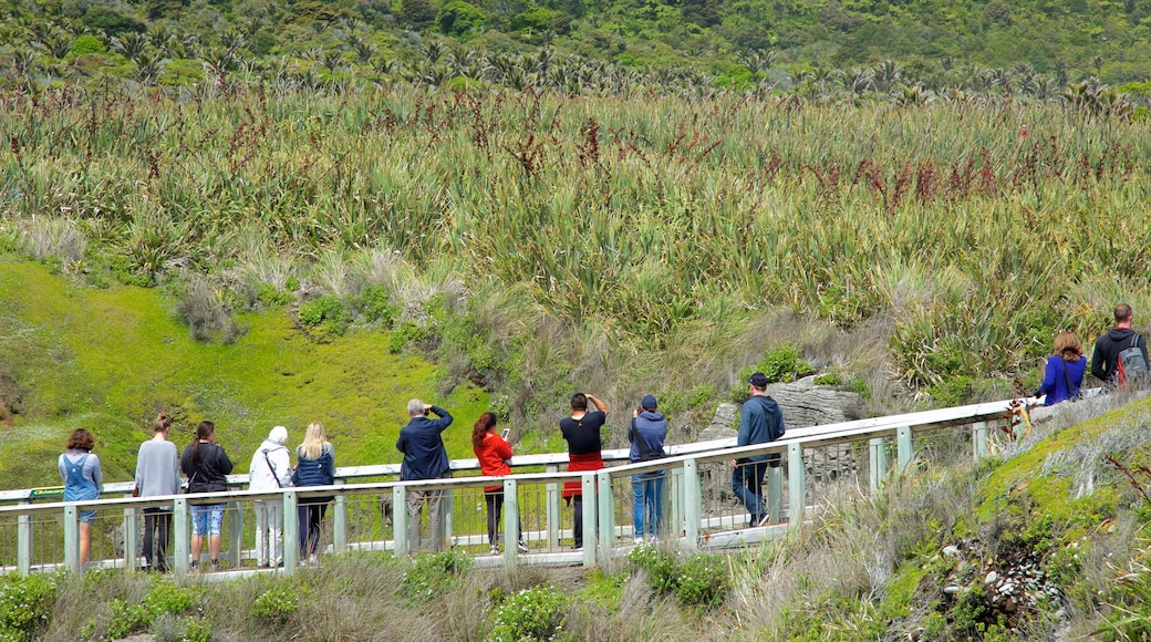 Pancake Rocks bevat wetlands en ook een klein groepje mensen