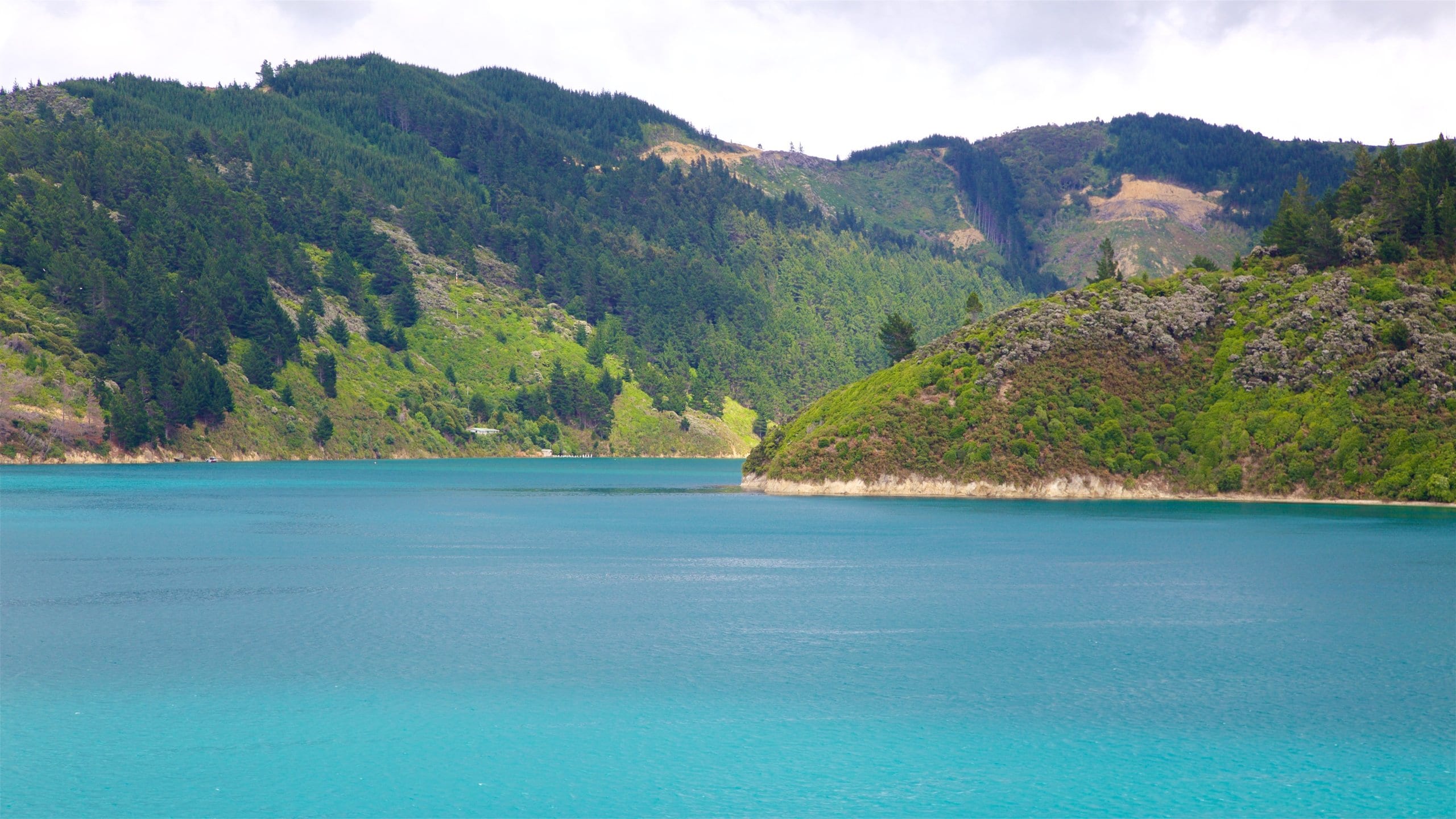 Ferienwohnung Queen Charlotte Sound, NZ Ferienhäuser & mehr FeWodirekt