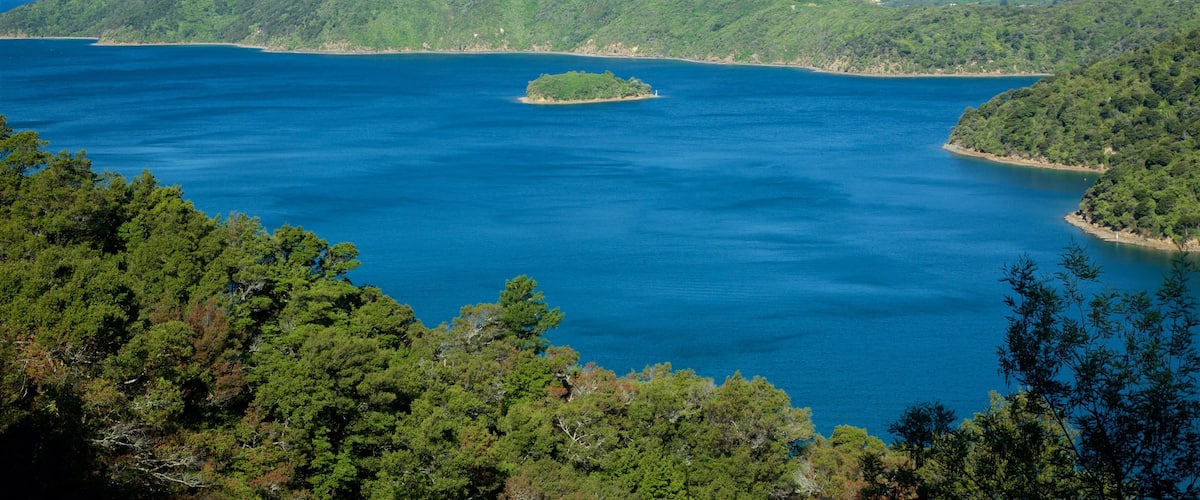 Queen Charlotte Sound qui includes baie ou port, forĂȘts et montagnes