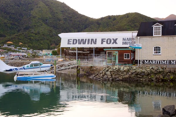 Edwin Fox Museum mit einem WĂ€lder, Bucht oder Hafen und KĂŒstenort