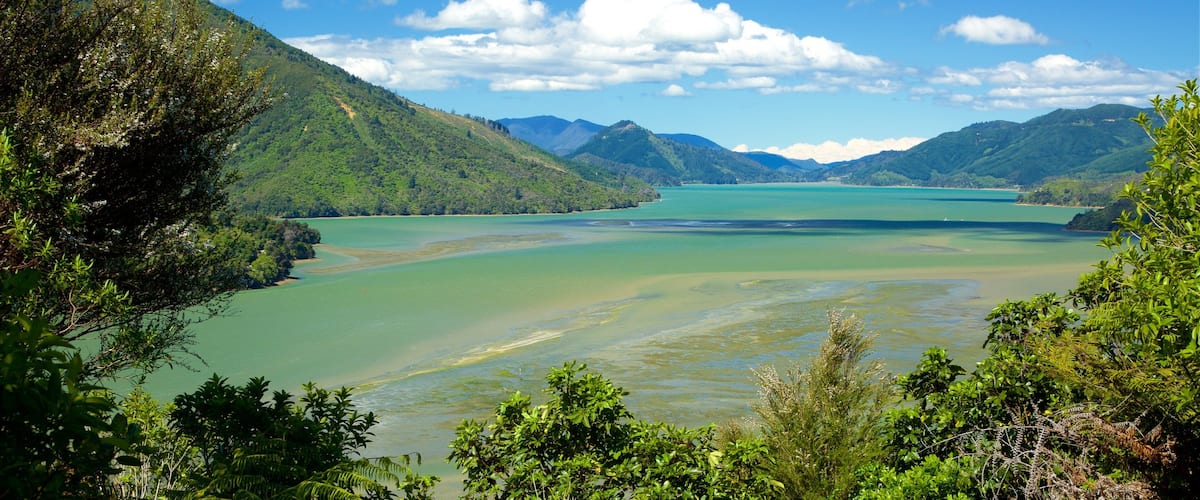 Picton featuring forests, mountains and a bay or harbour