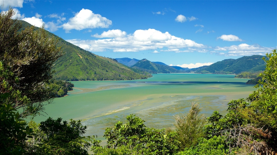 Picton featuring mountains, forests and a bay or harbour