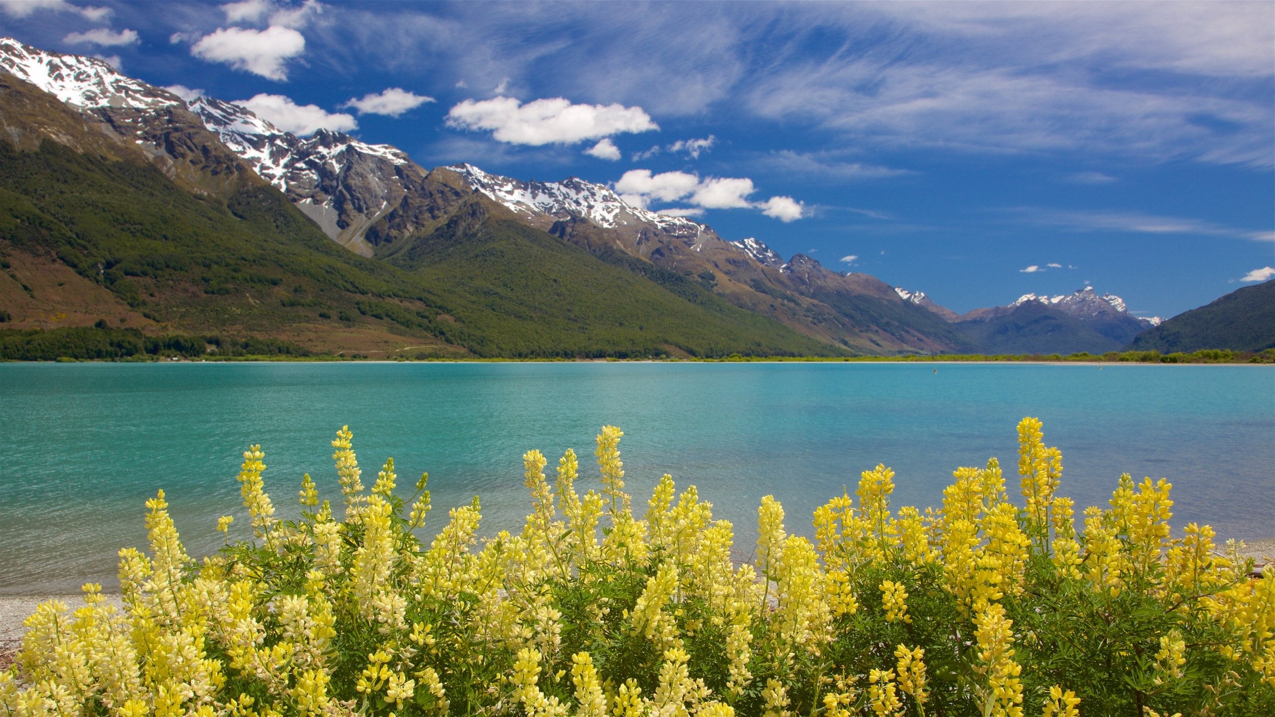 Travel Glenorchy Best of Glenorchy, Visit Queenstown Expedia Tourism