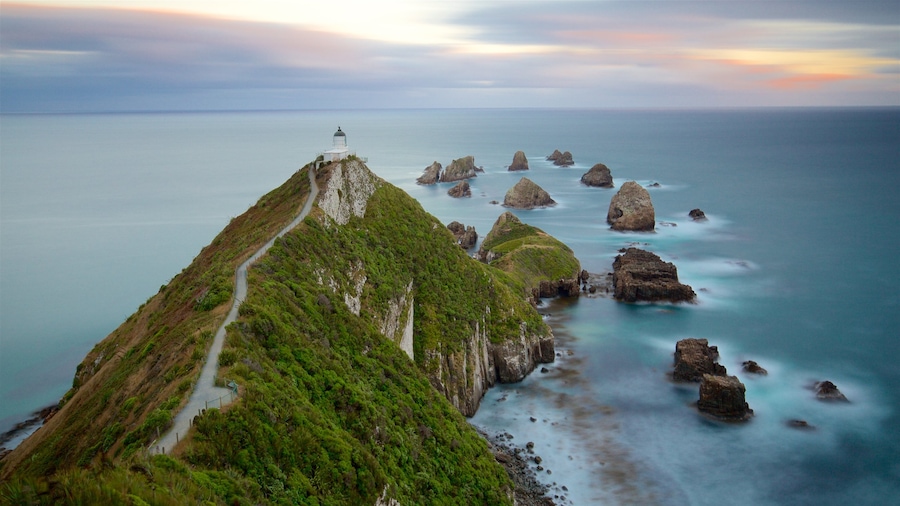 Nugget Point Lighthouse ofreciendo una bahía o puerto, neblina o niebla y un faro