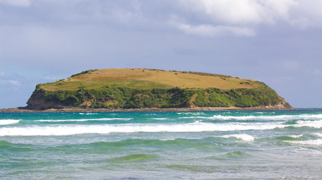 Owaka showing rocky coastline, waves and a bay or harbor