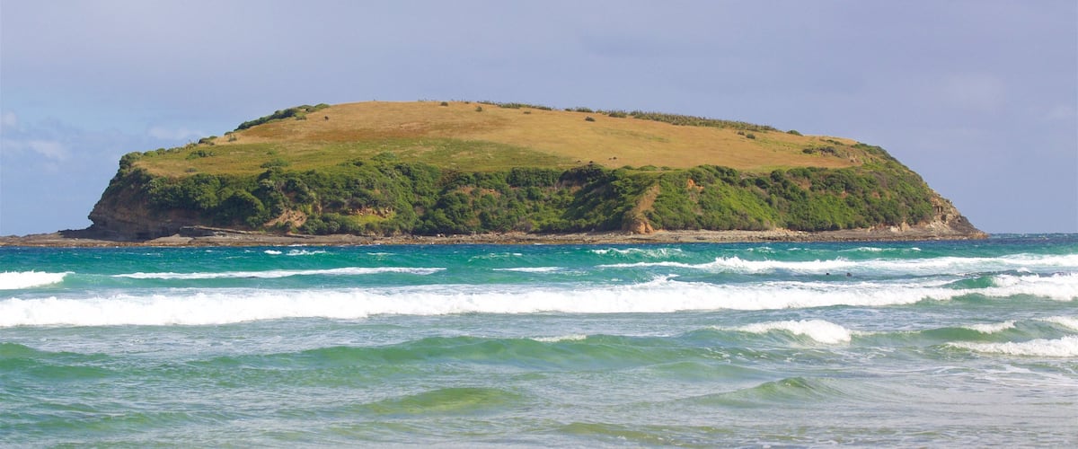 Owaka showing rocky coastline, waves and a bay or harbor