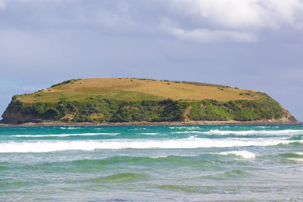 Owaka showing surf, rugged coastline and a bay or harbour