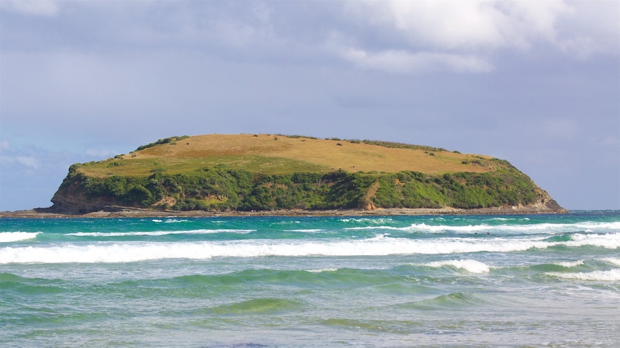 Owaka ofreciendo surf, una bahía o puerto y costa rocosa