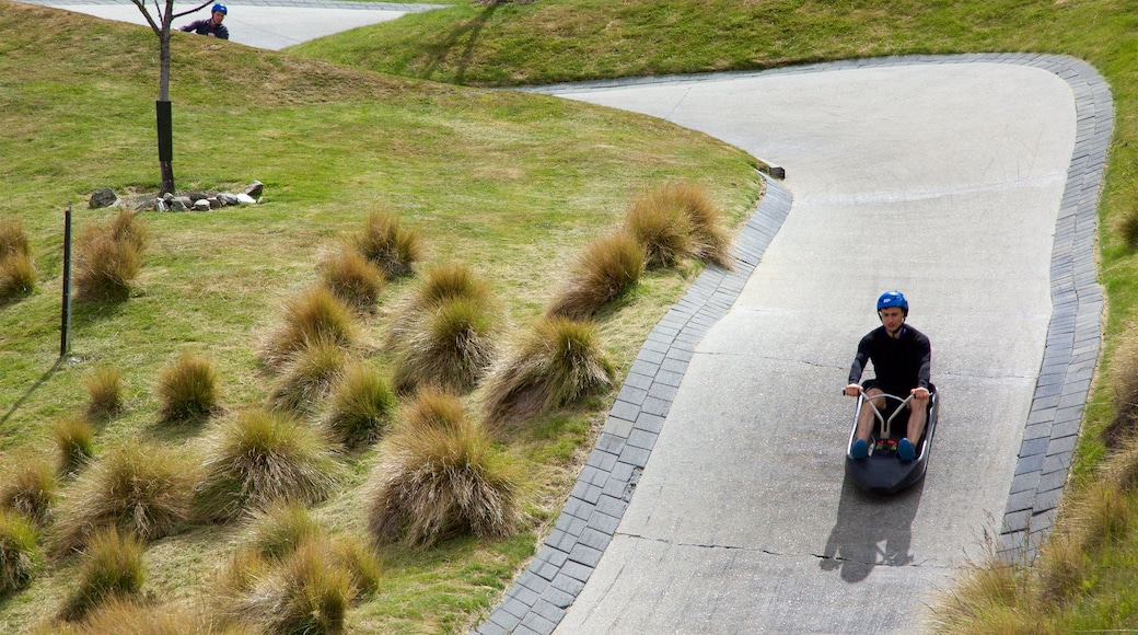 Pista de luge de Skyline