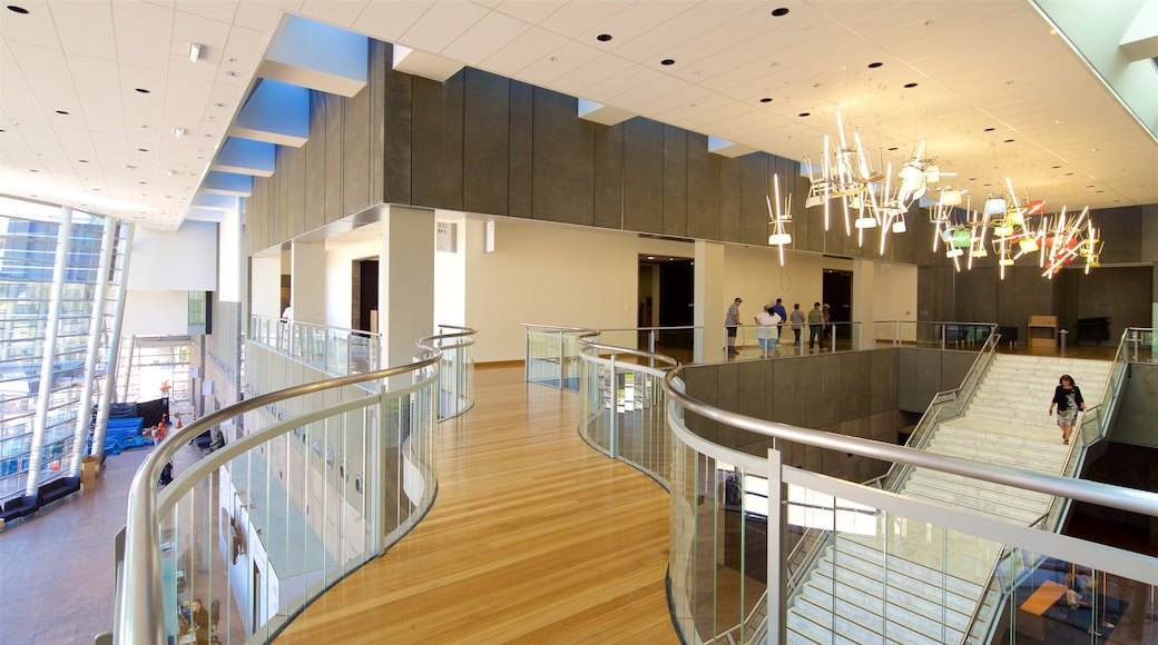 Christchurch Art Gallery som inkluderar interiörer
