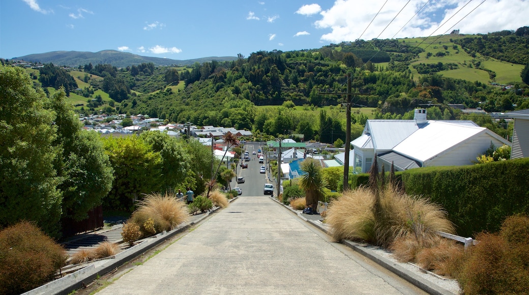 Baldwin Street presenterar stillsam natur och gatuliv