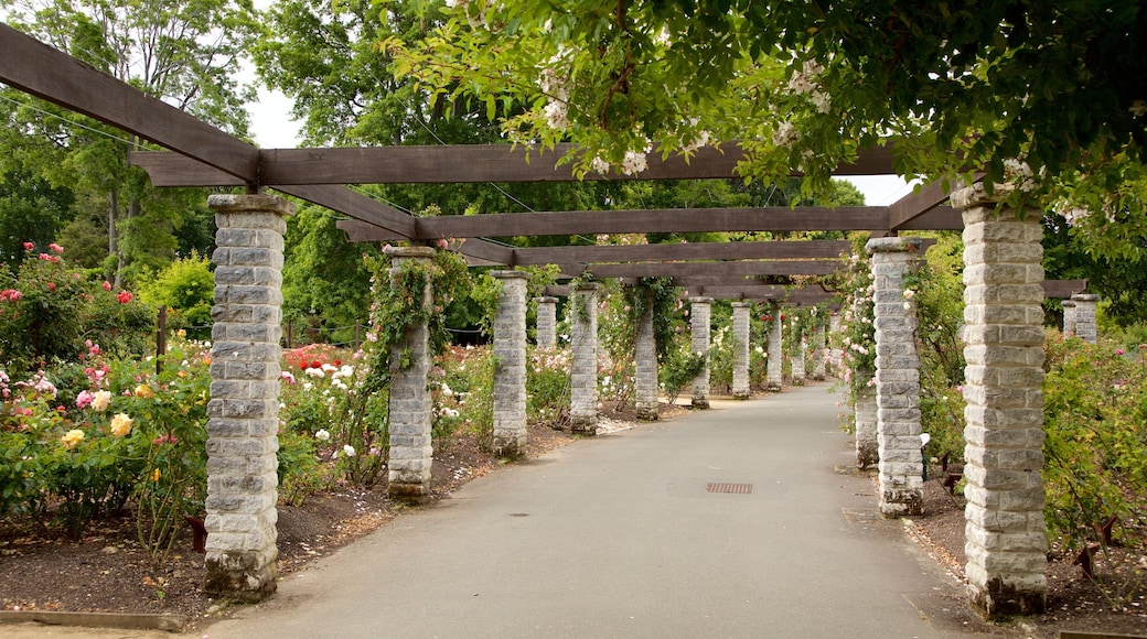 Dunedin Botanic Garden showing a park