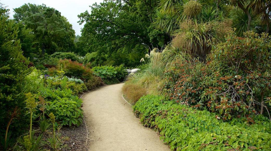 Dunedin Botanic Garden showing a park