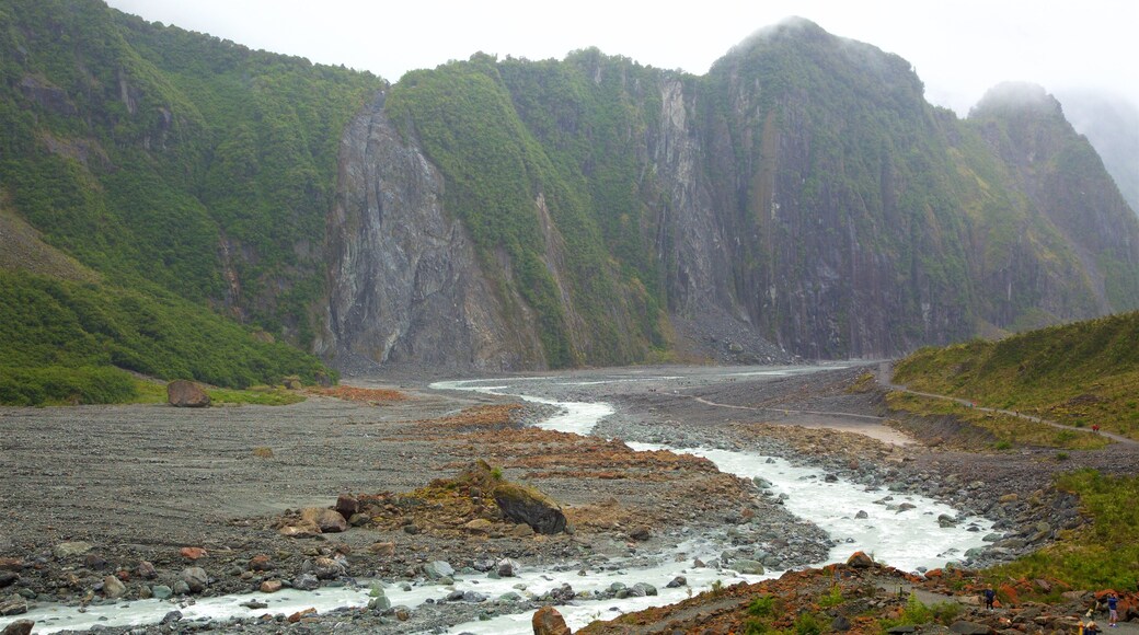 福斯冰河 设有 河流或小溪, 薄霧或有霧氣 和 森林風景