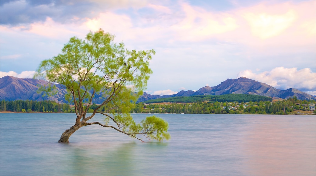 Lake Wanaka