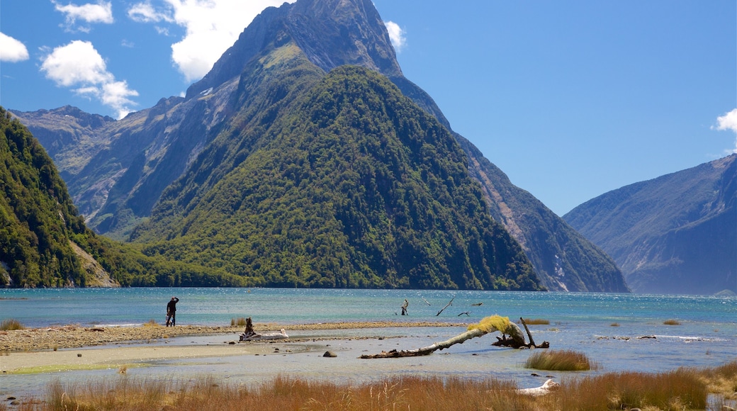 Mitre Peak mostrando montañas, un lago o abrevadero y bosques