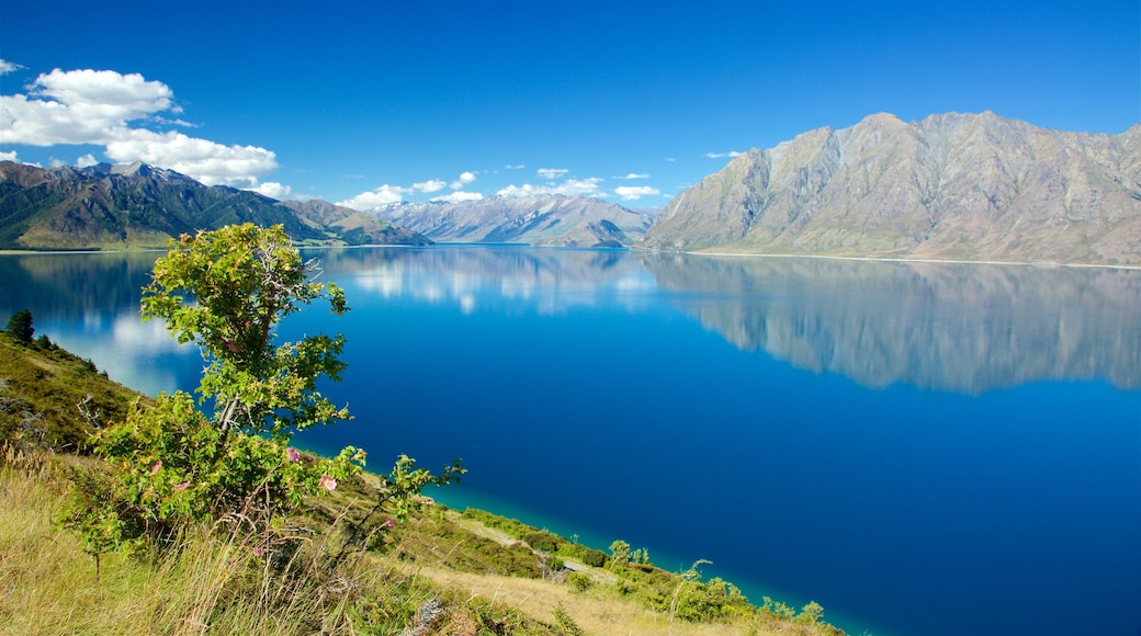 Lake Hawea som inkluderar berg och en sjö eller ett vattenhål