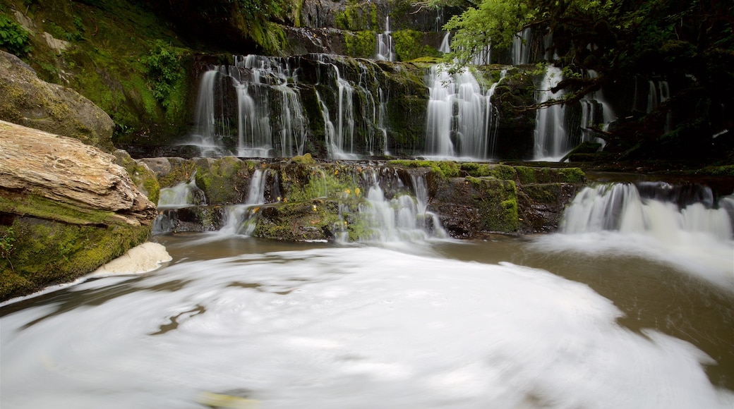 Purakaunui which includes a waterfall and a river or creek