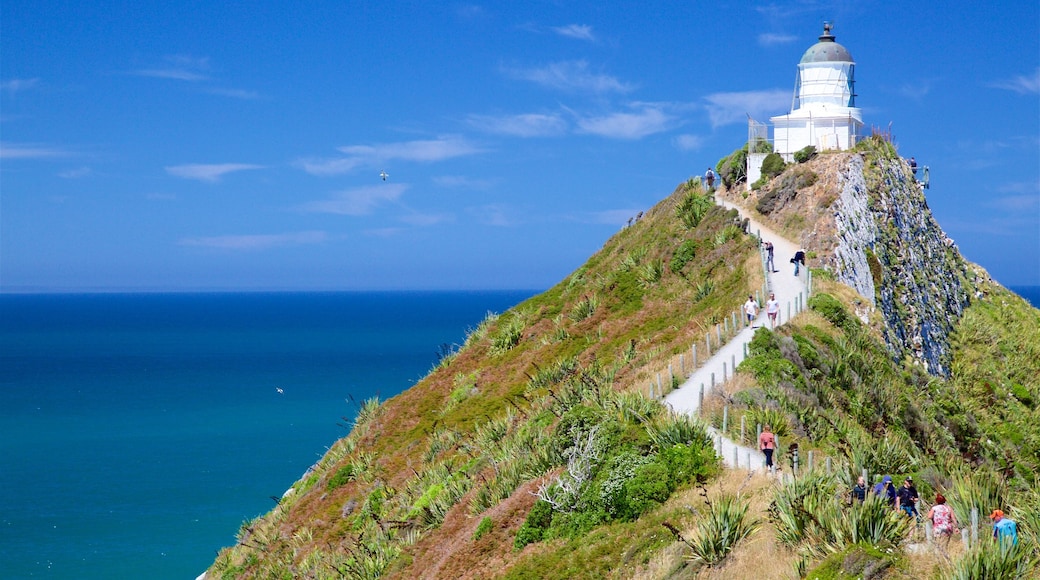 Nugget Point Lighthouse que incluye un faro y costa rocosa