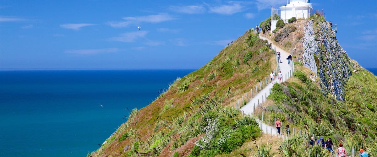 Nugget Point Lighthouse que incluye un faro y costa rocosa