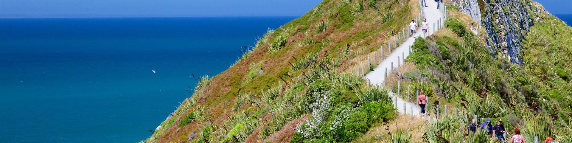 Nugget Point Lighthouse featuring rugged coastline and a lighthouse