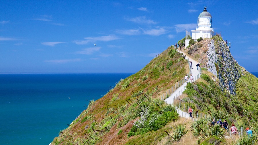 Nugget Point Lighthouse que incluye un faro y costa rocosa